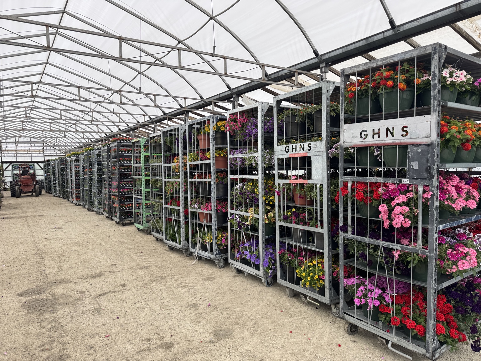 Transport carts and colorful annuals inside the Wells Plants greenhouse